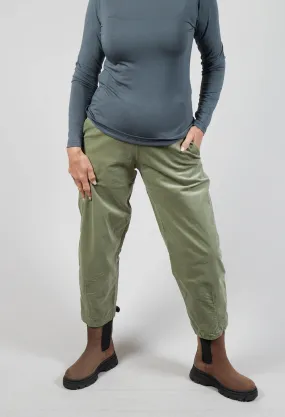 Cervo V Trousers in Linfa