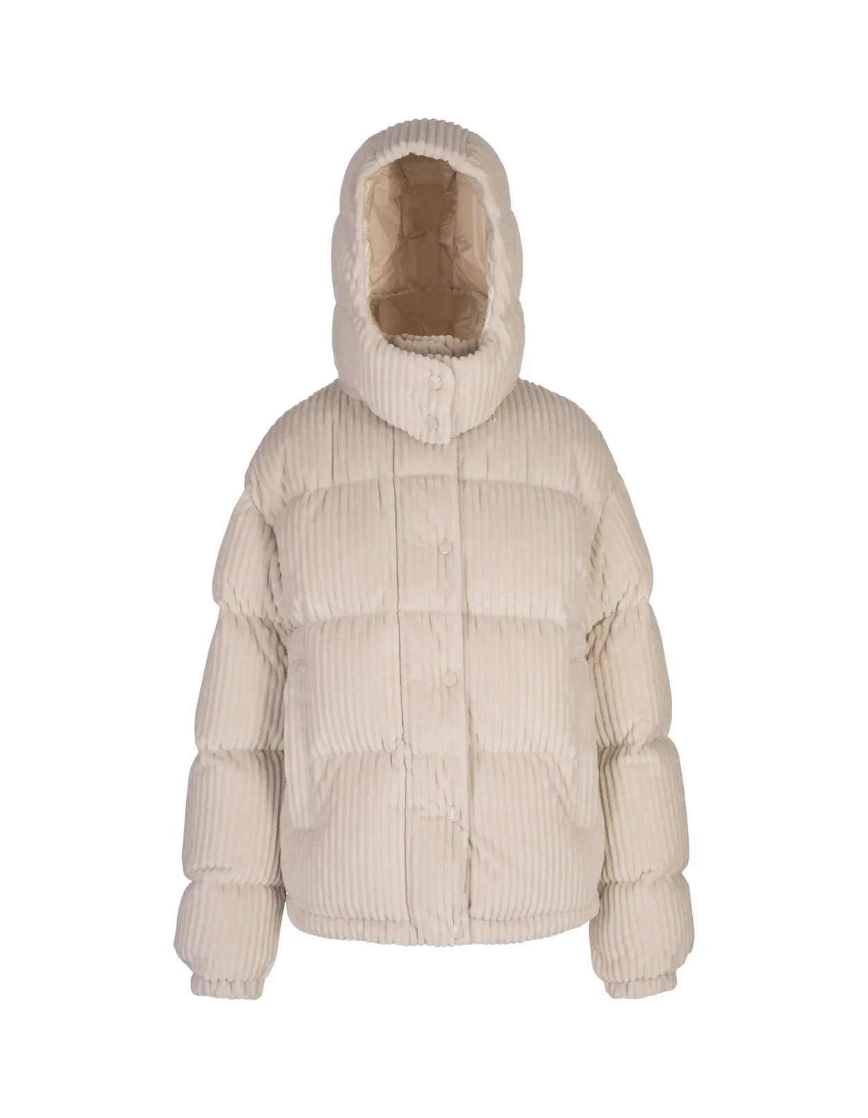 MONCLER Beige Daos Down Jacket