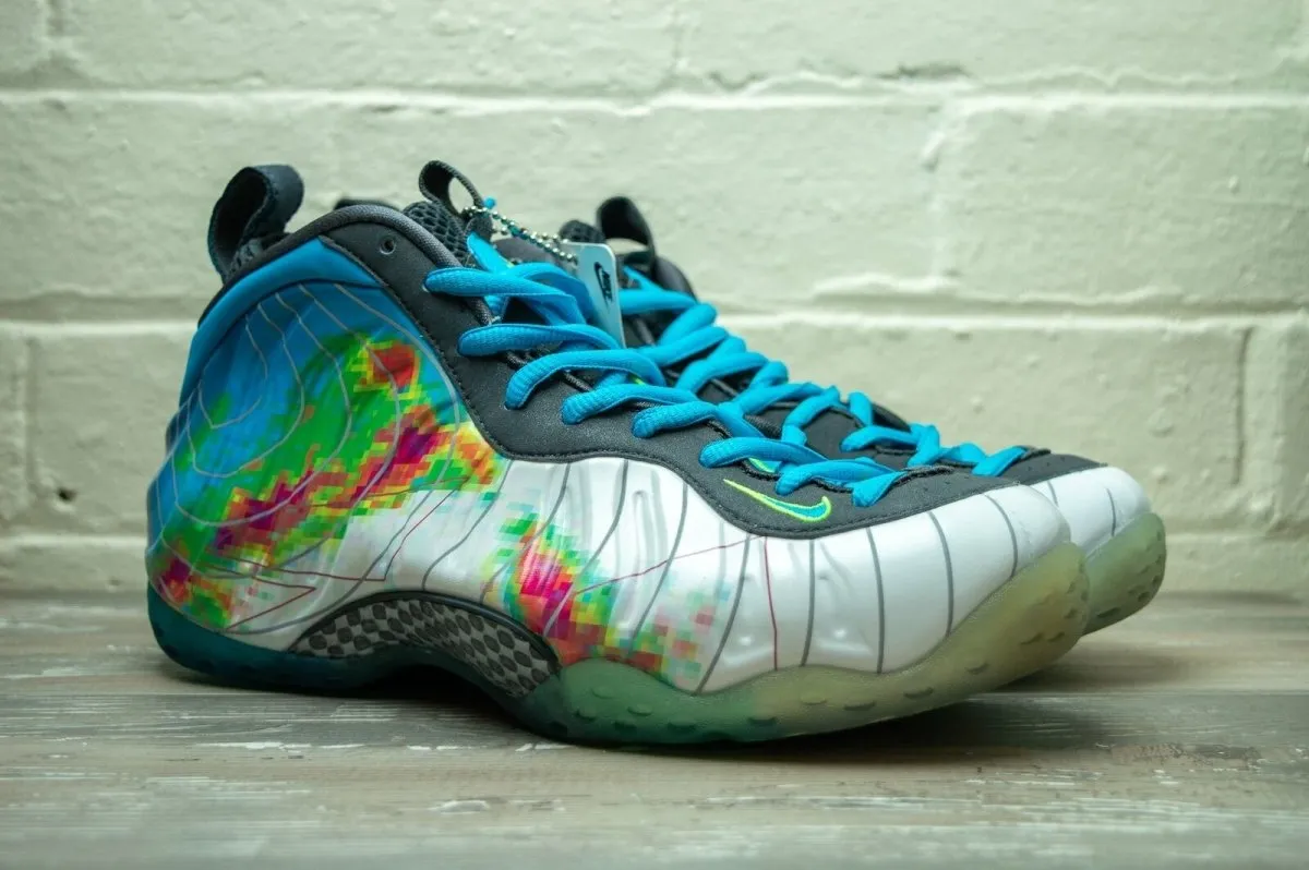 Nike Air Foamposite One Premium Weatherman 575420 100